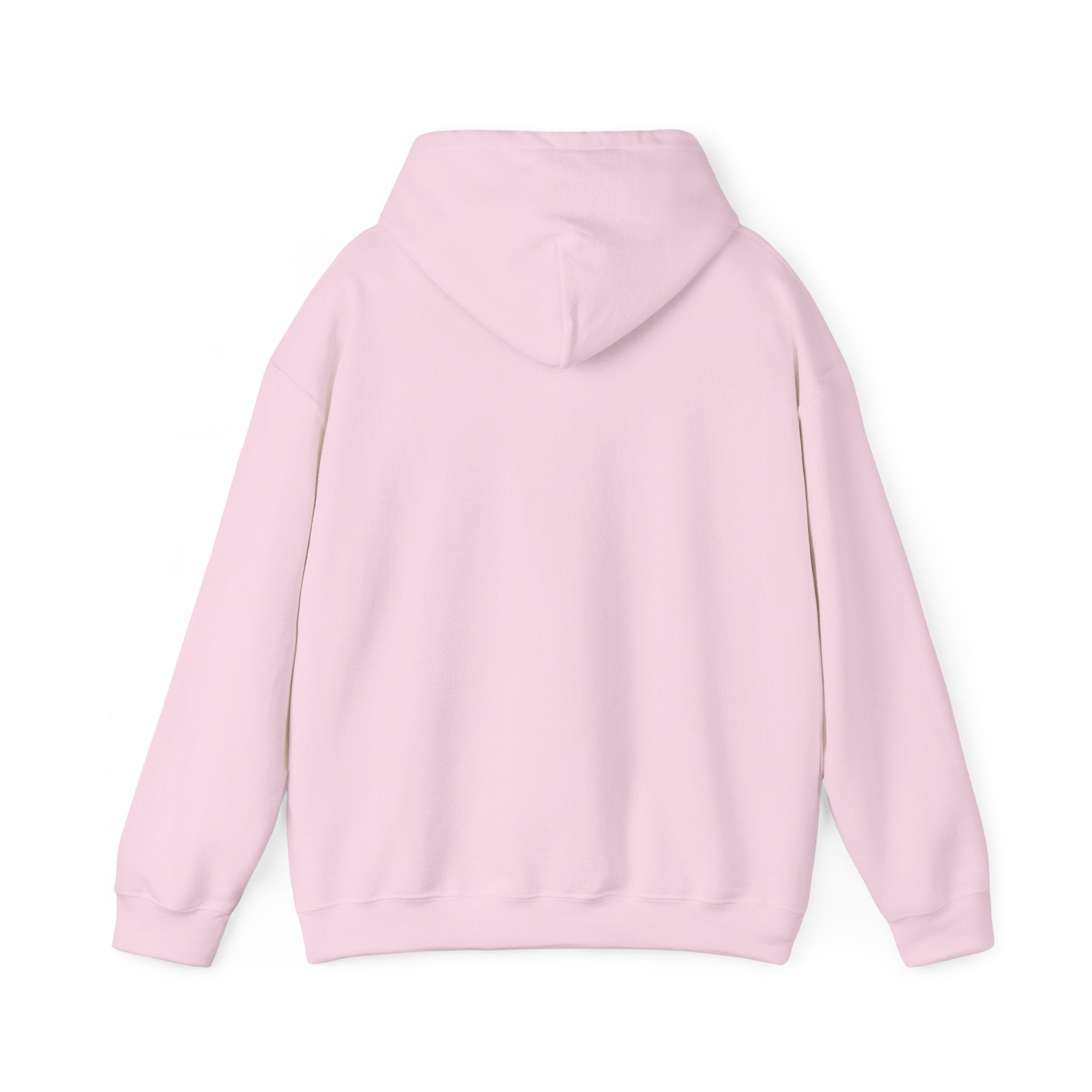 AZ Colt Logo Hoodie