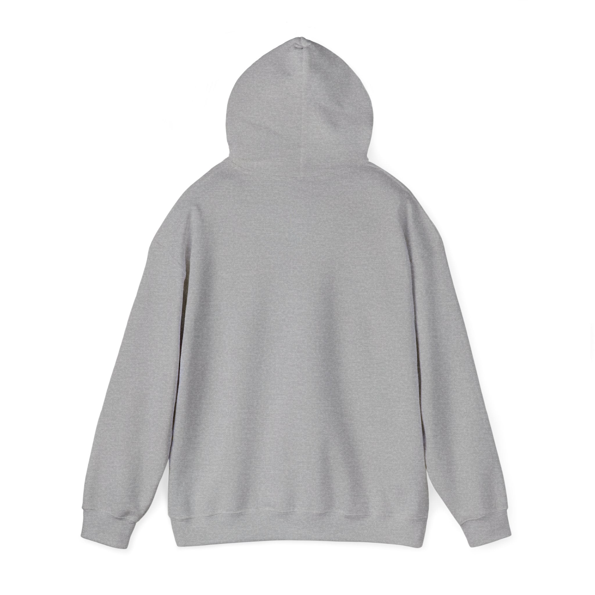 AZ Colt Logo Hoodie