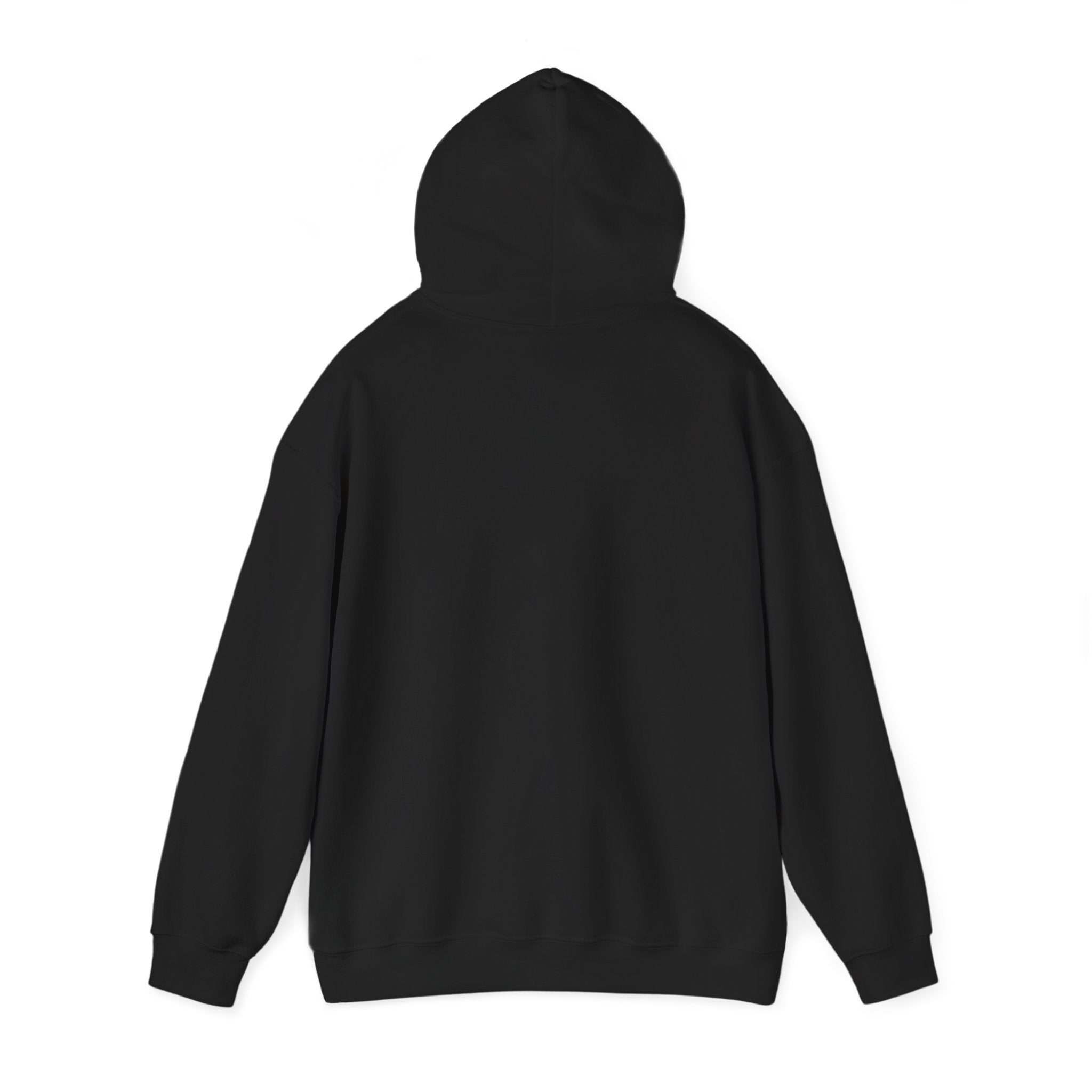 AZ Colt Logo Hoodie